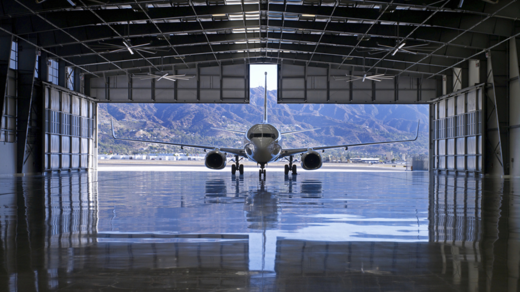 Airplane Hangar and Jet